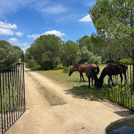 Quinta Do Vale Entire