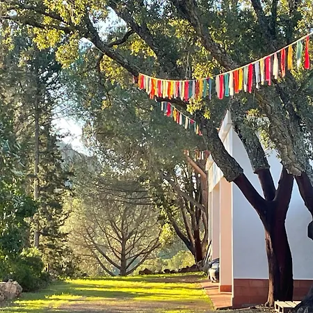 Quinta Do Vale Entire *