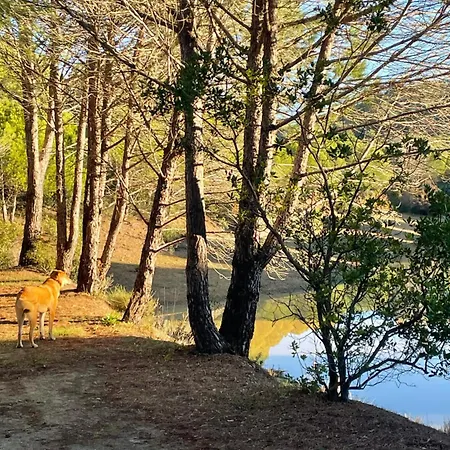 Quinta Do Vale Entire * São Bartolomeu de Messines